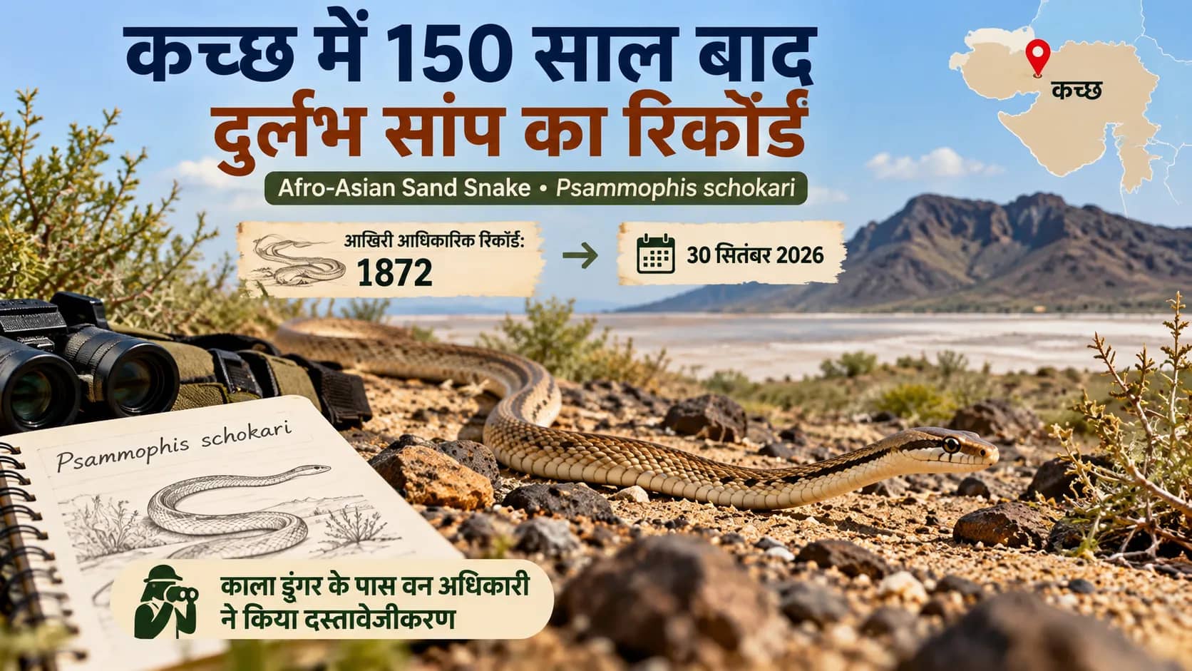कच्छ में 150 साल बाद फिर दर्ज हुआ दुर्लभ Afro-Asian Sand Snake, 1872 के बाद मिला पहला पुष्ट रिकॉर्ड