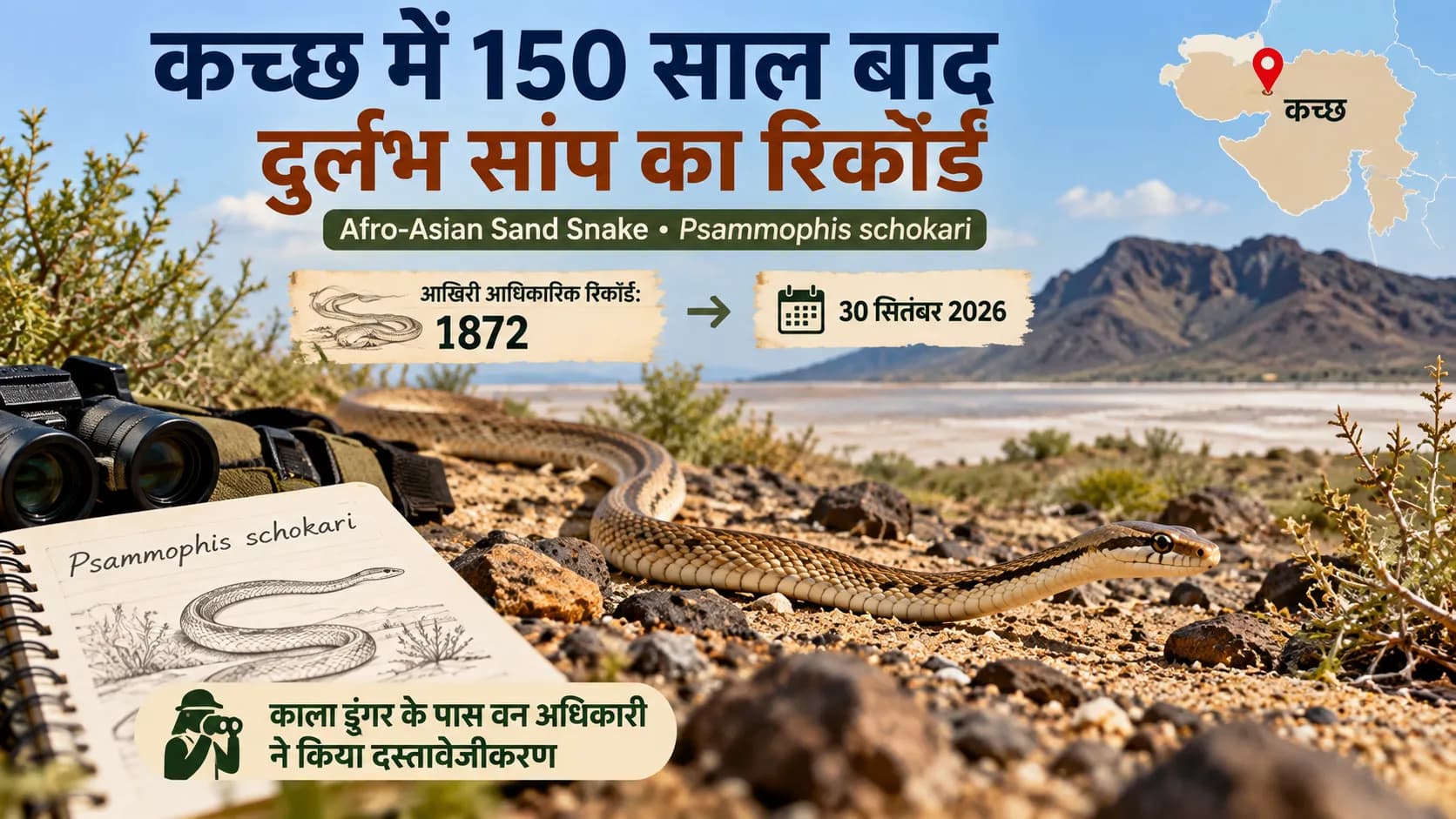 कच्छ में 150 साल बाद फिर दर्ज हुआ दुर्लभ Afro-Asian Sand Snake, 1872 के बाद मिला पहला पुष्ट रिकॉर्ड