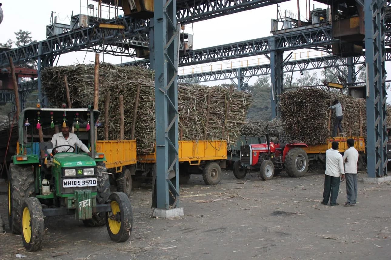 एक आदमी ट्रैक्टर चला रहा है, जबकि अन्य लोग गन्ने से लदे ट्रकों के पास खड़े हैं।