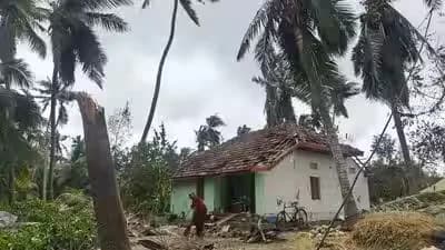 एक व्यक्ति क्षतिग्रस्त घर के सामने गिरे हुए नारियल के पेड़ के मलबे को साफ कर रहा है।