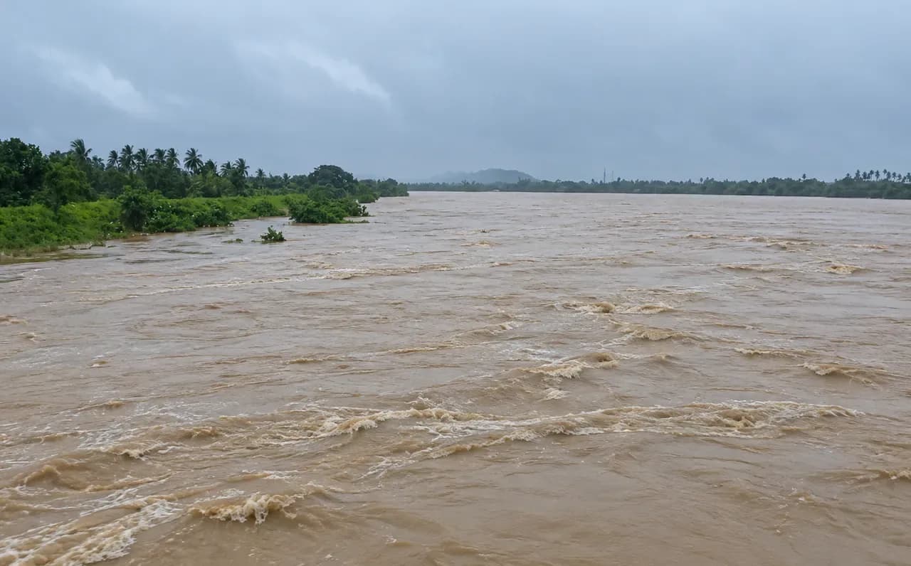 एक चौड़ी, मटमैली नदी में लहरें उठ रही हैं, जिसके किनारे हरे-भरे पेड़ हैं और ऊपर बादल छाए हुए हैं।